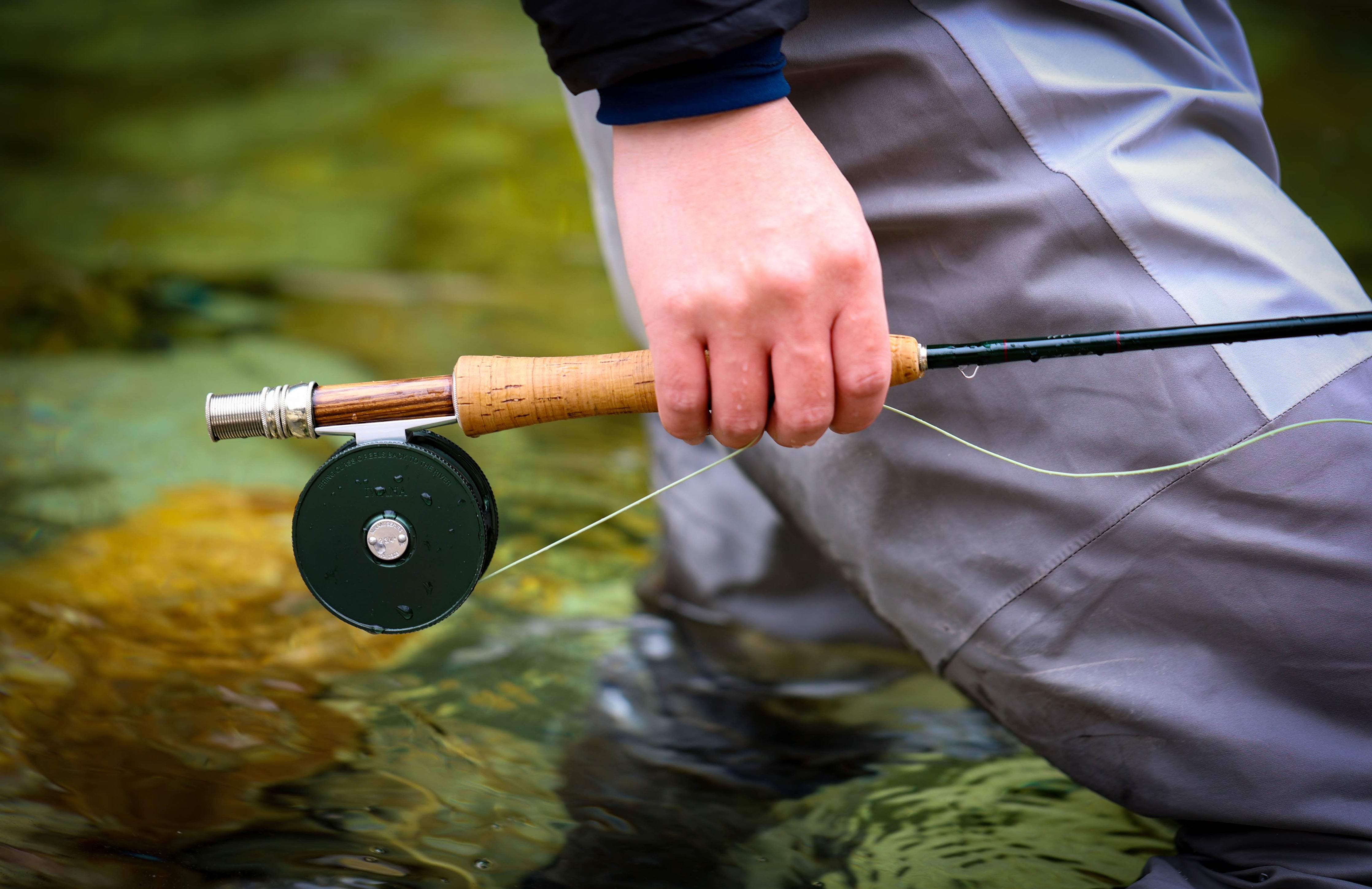basszilla fishing lure Motion Fishing | Hawgzilla | Soft Plastic